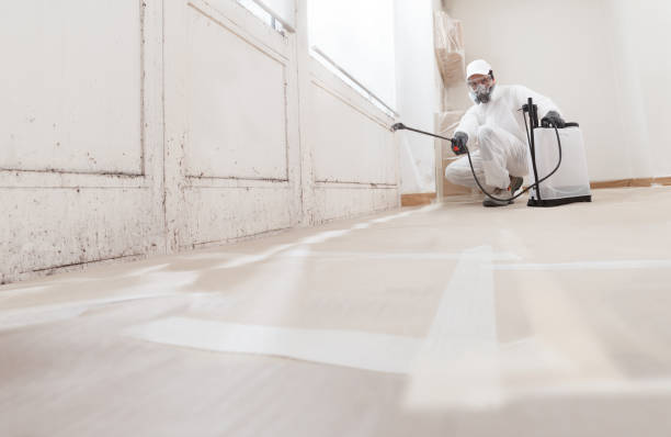 24/7 Emergency Commercial Mold Remediation experts in Morrisdale, PA